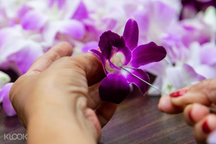 Airport Flower Lei Greeting Kahulai Airport In Hawaii Klook Us