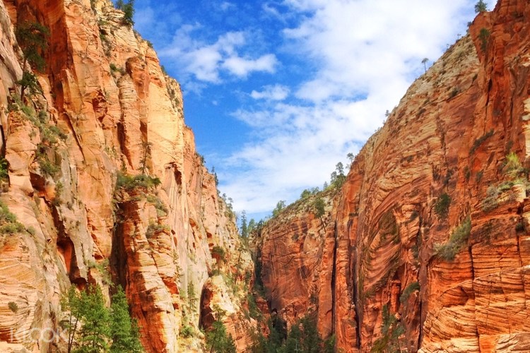 Zion Canyon National Park South Rim Private Tour From Las Vegas