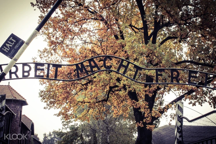 Auschwitz Birkenau Memorial Museum Tour From Krakow Klook