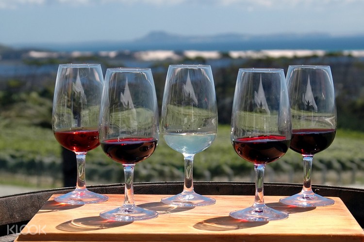 Romanian Wine Tasting Tour From Bucharest Klook Uk