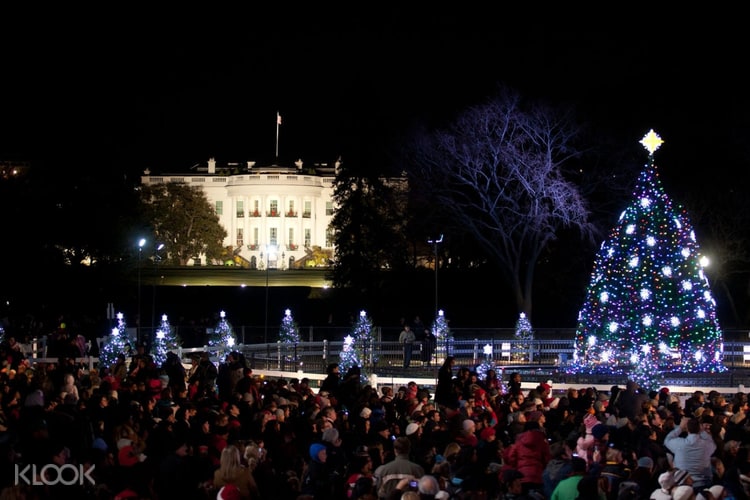 Washington Dc Holiday Lights Night Bus Tour Klook Us