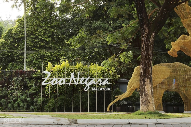zoo negara