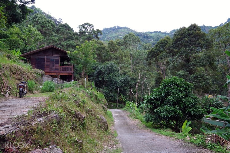 Hiking Trail And Food Tasting Farm Tour In Penang Klook Malaysia