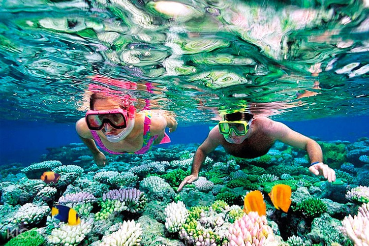 Koh Rong Samloem Snorkeling And Diving Experience From Sihanoukville Klook Malaysia