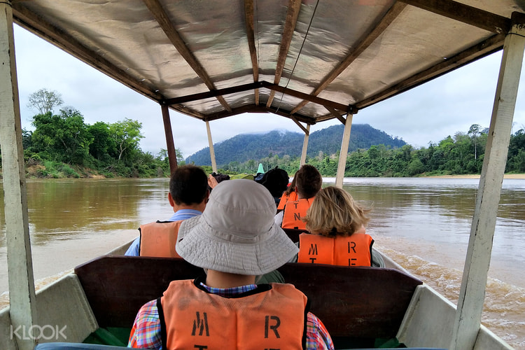 Taman Negara National Park Day Tours Klook Hong Kong