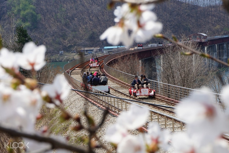 Gapyeong Rail Bike Experience