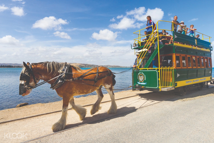 Victor Harbor And Mclaren Vale Highlights Day Tour From Adelaide