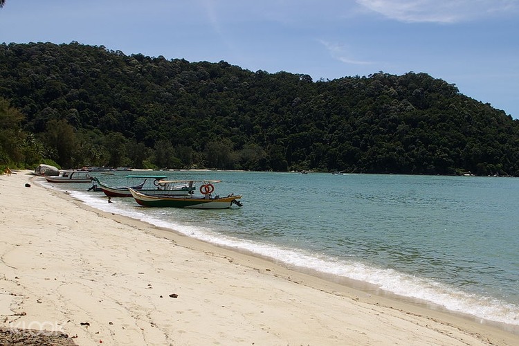 Monkey Beach Tour From Penang Malaysia Monkey Beach Tour From Penang Malaysia