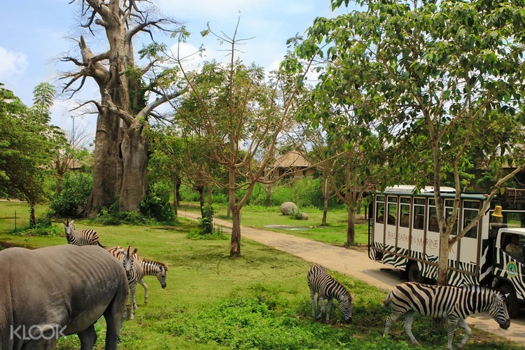 Up To 10 Off Bali Safari And Marine Park Tickets Domestic Rate