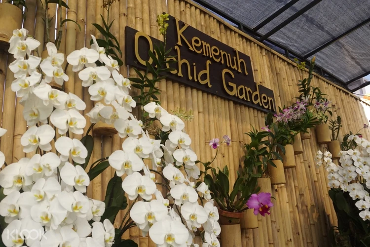 Kemenuh Orchid Garden And Dragonfly And Bonsai Park Tickets In Bali