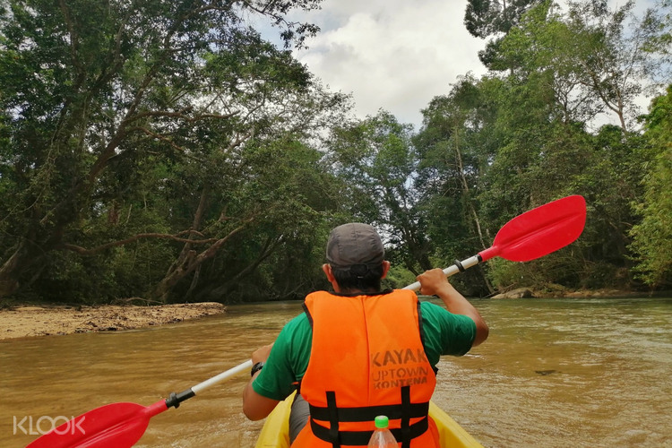 Little Amazon River Kayak Experience In Terengganu Klook Malaysia Little Amazon River Kayak Experience In Terengganu Klook Malaysia