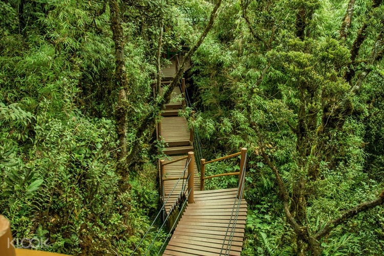 Up To 10 Off Cameron Highlands Gunung Brinchang Mossy Forest Day Trip Klook Singapore