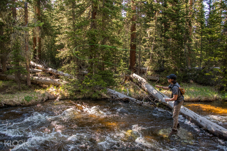 trout fishing near me