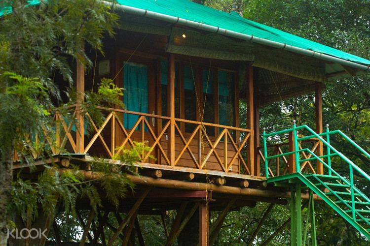 Overnight Tree House Stay In Munnar From Cochin Klook Malaysia