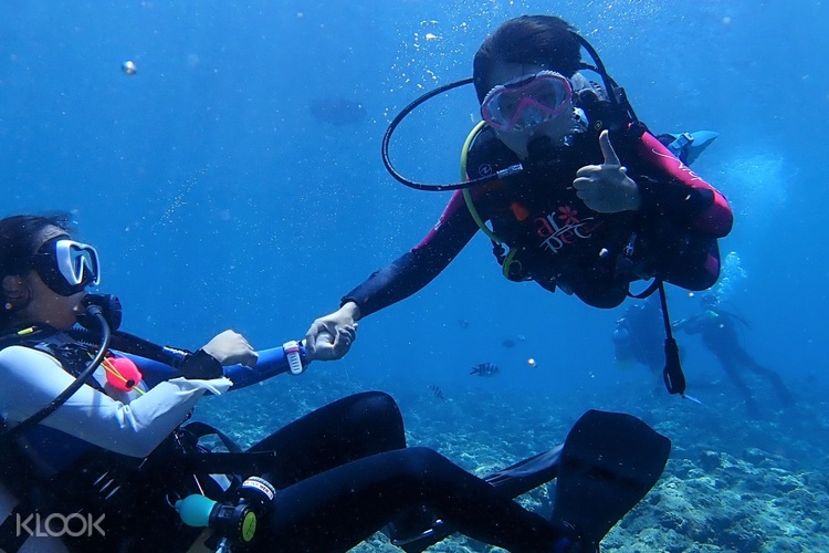 Diving Adventure To The Undersea Mailbox In Chatan S Sunabe