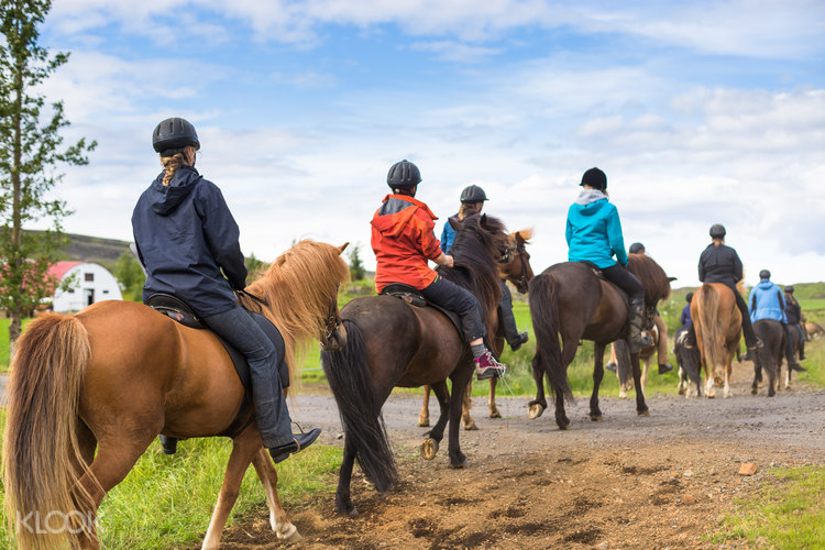 Reykjavik Volcanic Landscape Horse Riding Half Day Tour Klook Us