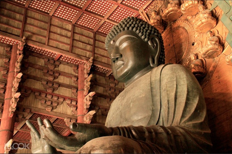 日本奈良东大寺 奈良公园 兴福寺 清水寺 高台寺 八坂神社 祇园一日遊 京都出发 Klook客路中国