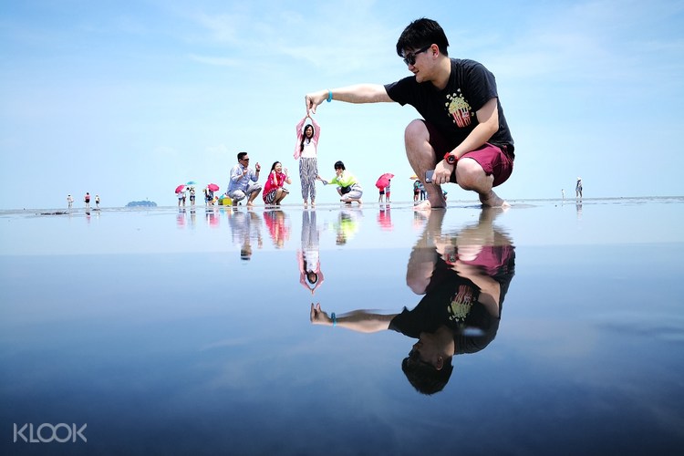 Sky Mirror Sekinchan Paddy Field Tour Dari Kuala Lumpur Malaysia