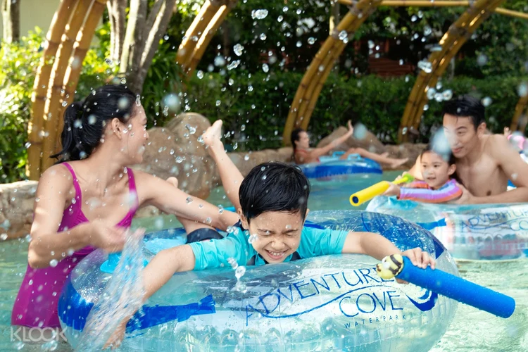 Adventure Cove Waterpark Ticket Klook Us