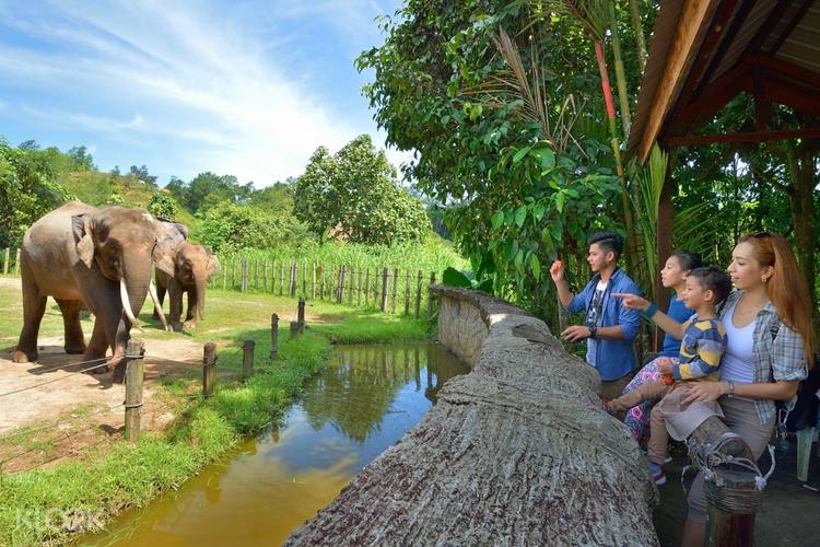 Kota Kinabalu And Lok Kawi Wildlife Park Tour