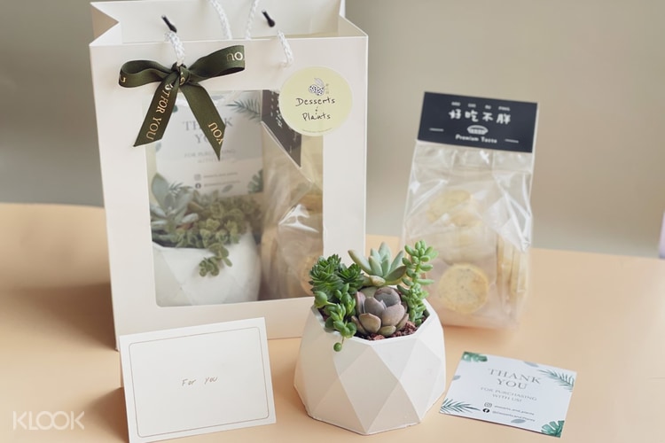Klook Exclusive Curated Gift Set By Dessert And Plants Klook Malaysia