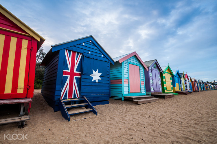 Phillip Island Wildlife And Brighton Beach Boxes Join In Bus Tour From Melbourne