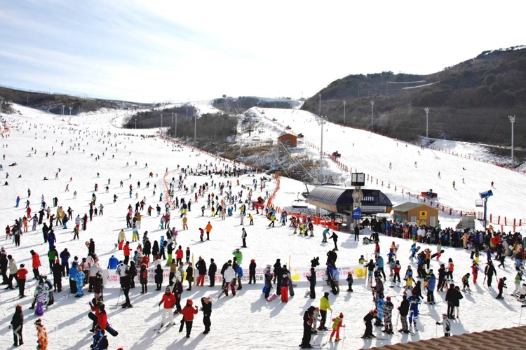 Eden Valley Ski Resort Day Tour From Daegu Klook Us