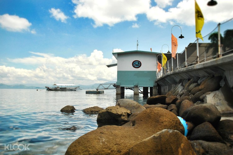 Camayan Beach Resort Day Pass Manila Philippines Klook Philippines