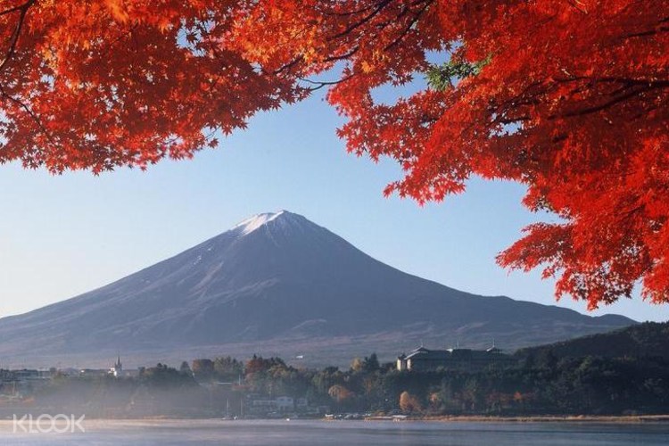 富士山赏枫之旅 河口湖富士山缆车 枫叶迴廊 西湖疗癒之乡根场一日游 klook客路中国