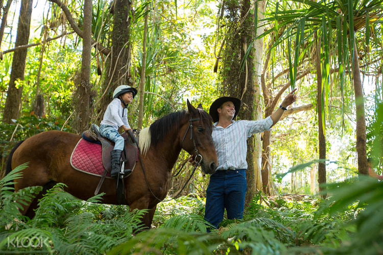 Cairns Horse Riding Experience Klook Malaysia