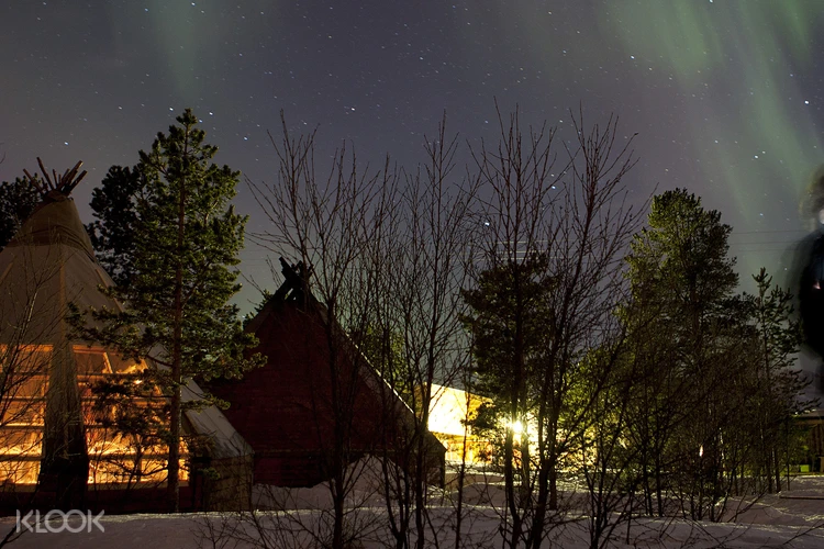 Tromso Aurora Sami Tent Camp Husky Sledding Experience Klook