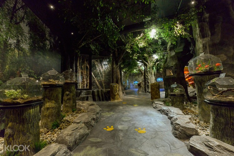 Tiket Diskon Entopia Butterfly Di Penang Malaysia