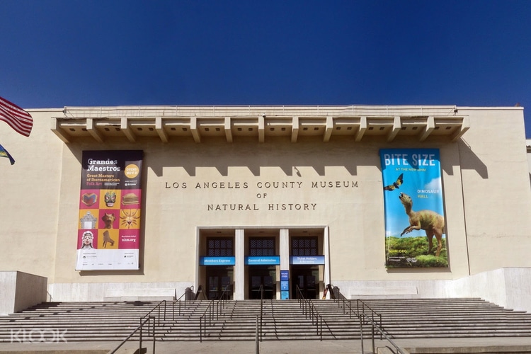 ロサンゼルス自然史博物館入場チケット Klook クルック
