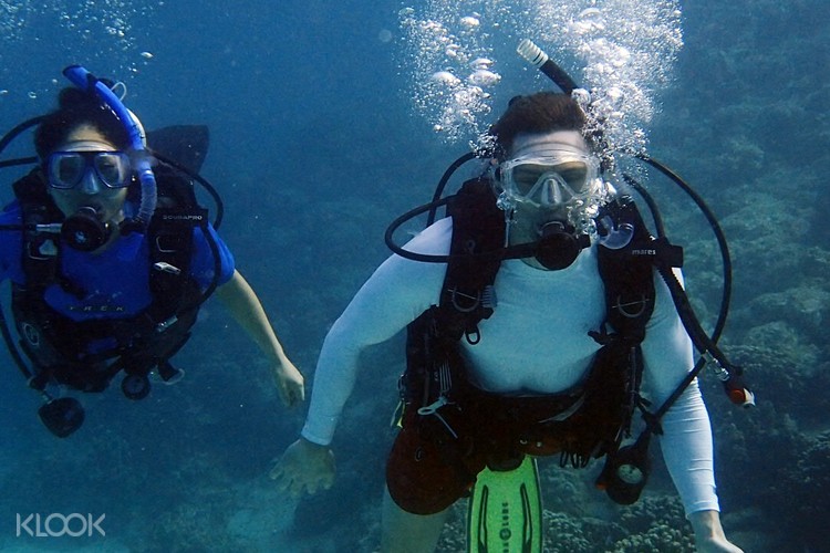 Dog Leg Reef Diving In Guam For Certified Divers Klook
