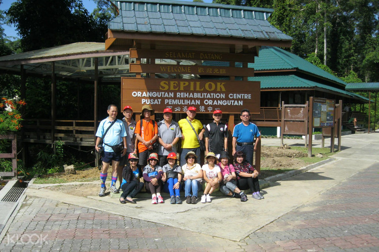 Orang Utan Rehabilitation Rainforest Discovery And Proboscis Monkey One Day Tour From Sandakan Klook Singapore