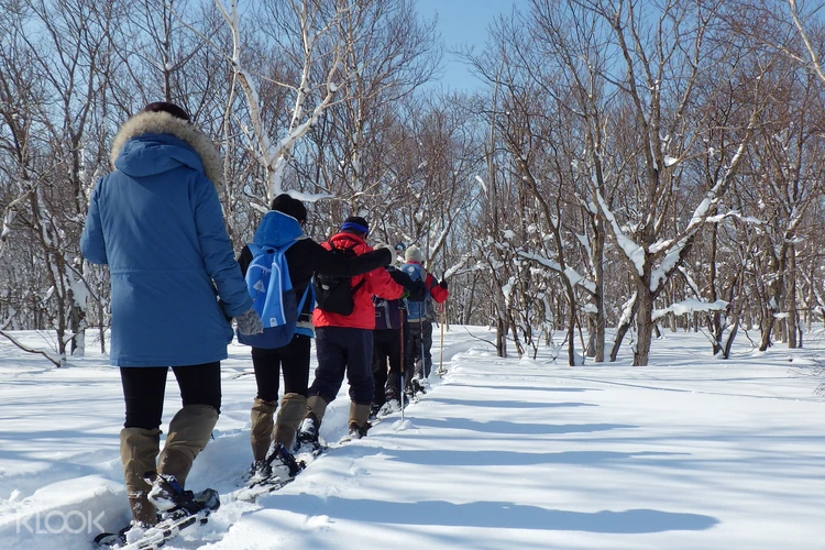 Shiretoko Animal Trail Winter Snowshoeing In Hokkaido Klook Us