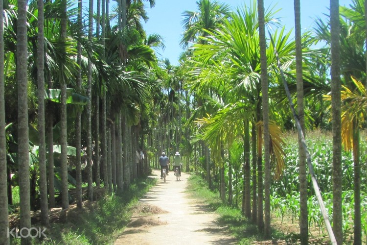 Cycling And Fishing Private Tour With English Speaking Guide From Hoi An Vietnam