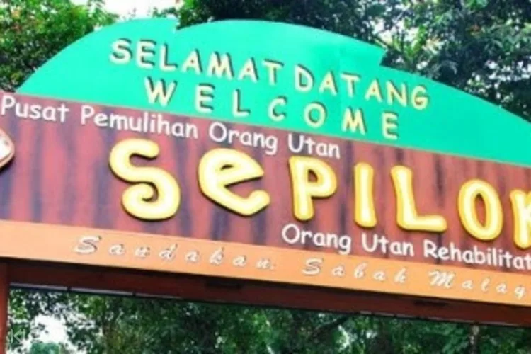 Sepilok Orangutan Rehabilitation Center Day Tour From Sandakan