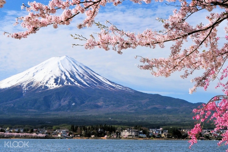 日本富士山 川口湖 諏訪湖 Kametaya日本清酒釀酒廠單程巴士遊 高山市出發 Klook客路台灣 日本富士山 川口湖 諏訪湖 Kametaya日本清酒釀酒廠單程巴士遊 高山市出發 Klook客路台灣