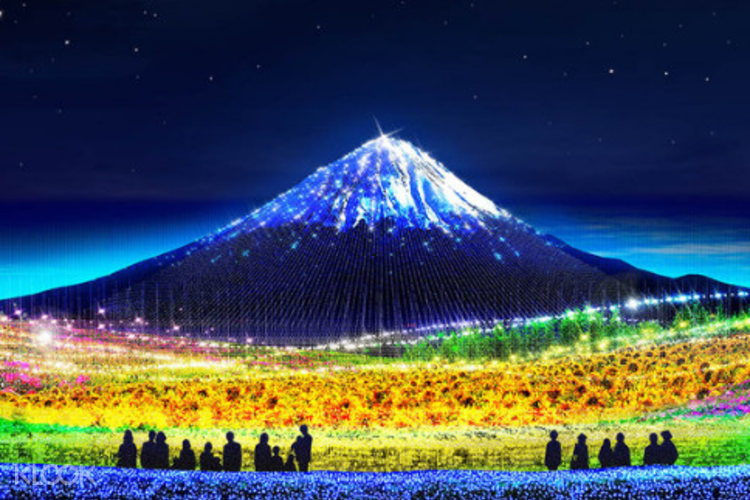 Nabana No Sato Illumination With Begonia Garden Day Tour From Osaka Klook Philippines