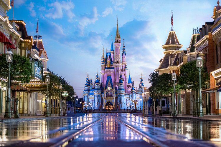 Walt Disney World  Theme Parks, Water Parks, Hotels & More