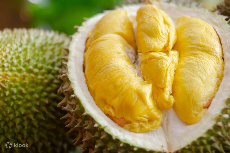 Gold Thon Durian Delivery in West Malaysia Klook United Kingdom