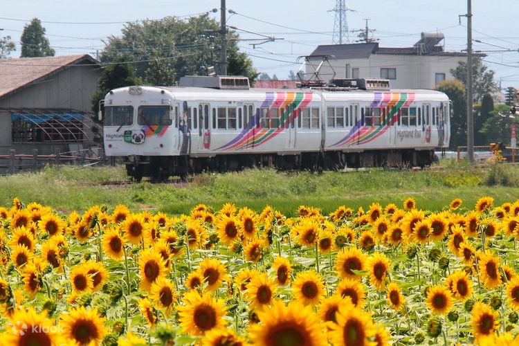 1 Day Train Pass between Matsumoto and Shin-shimashima