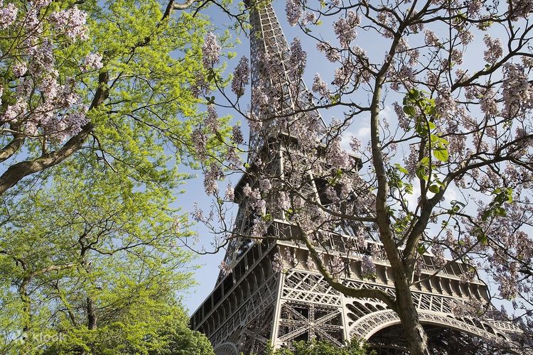 Paris: Eiffel Tower Summit or Second Floor Access