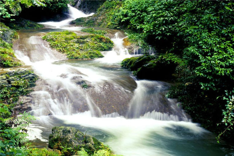 Green Woods Jungle Stream Waterfall Scenic Waterproof Fabric