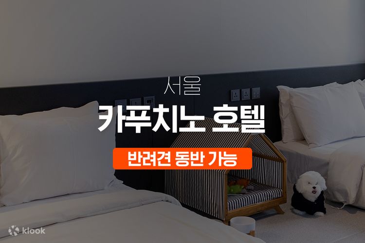 서울 카푸치노 호텔 반려견 동반 가능 객실 - 클룩 Klook 한국 서울 카푸치노 호텔 반려견 동반 가능 객실 - 클룩 Klook 한국