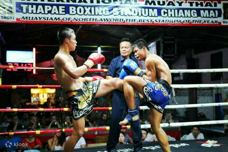 Chiang Mai: Muay Thai Boxing Experience