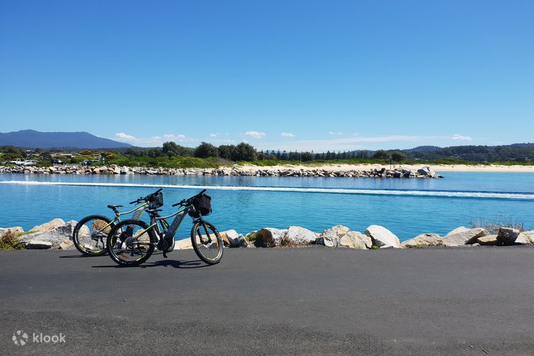 Hong kong electric 2024 bike