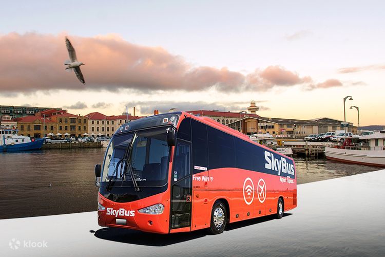 Theme Park Express Transfers for Gold Coast by SkyBus, Australia