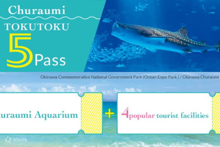 日本沖繩美麗海水族館＆熱門景點套票- Klook 客路